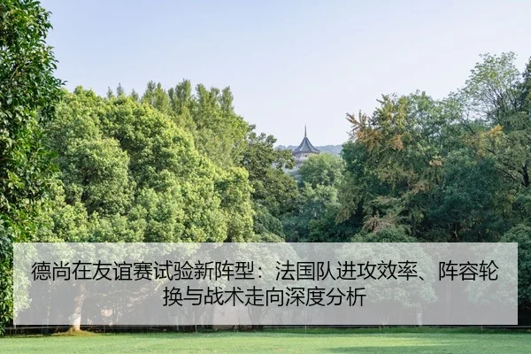de-shang-zai-you-yi-sai-shi-yan-xin-zhen-xing-fa-guo-dui-jin-gong-xiao-lv-zhen-rong-lun-huan-yu-zhan-shu-zou-xiang-shen-2-775.jpg