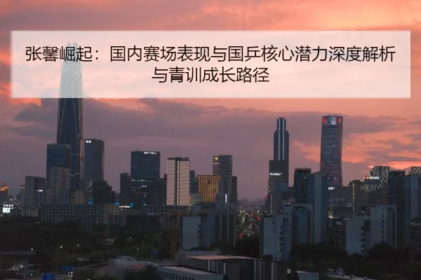 zhang-xin-jue-qi-guo-nei-sai-chang-biao-xian-yu-guo-ping-he-xin-qian-li-shen-du-jie-xi-yu-qing-xun-cheng-zhang-lu-jing-2-915.jpg